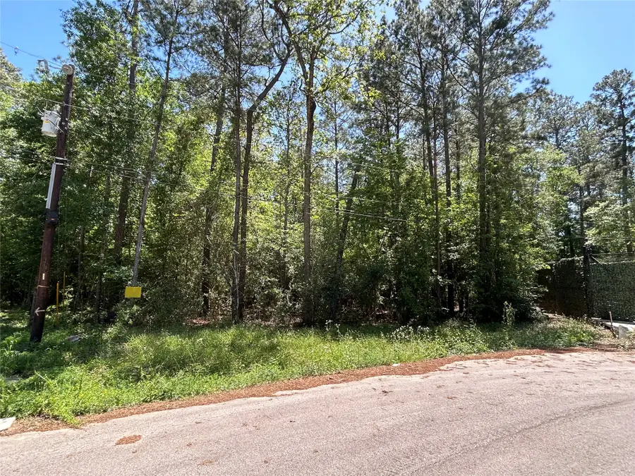 0 Redwood Lane, Montgomery, TX 77356 - #3