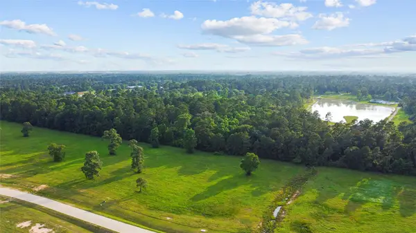 2048 Stallion Lakes Avenue, Hockley, TX 77447