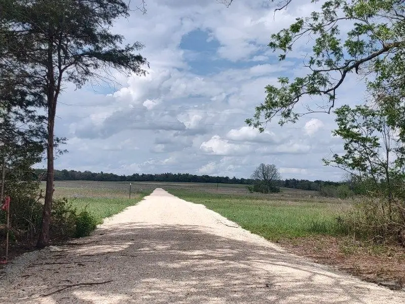 TBD Cr 328, Tract 8, 11 Acres, Caldwell, TX 77836 - #2