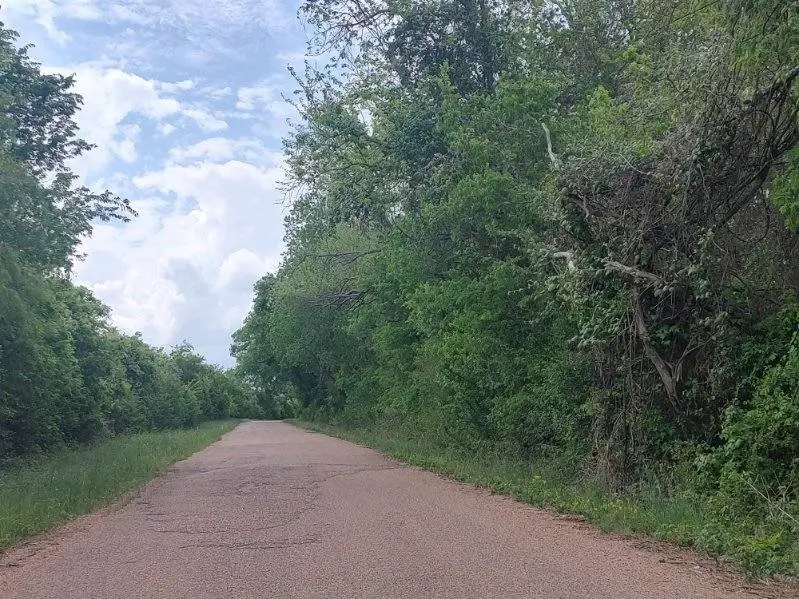 TBD Cr 328, Tract 8, 11 Acres, Caldwell, TX 77836 - #3