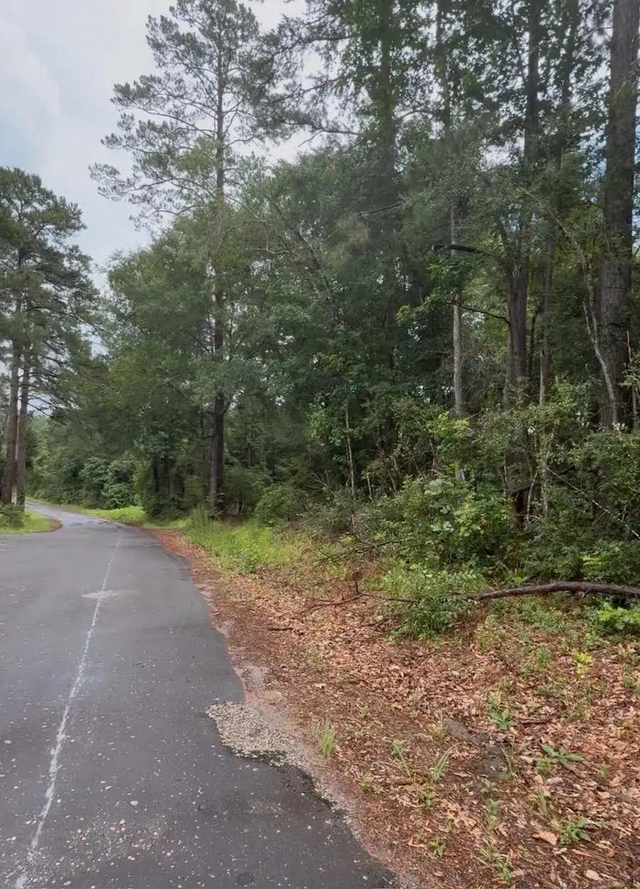 TBD Private Road 6328, Jasper, TX 75951 - #2