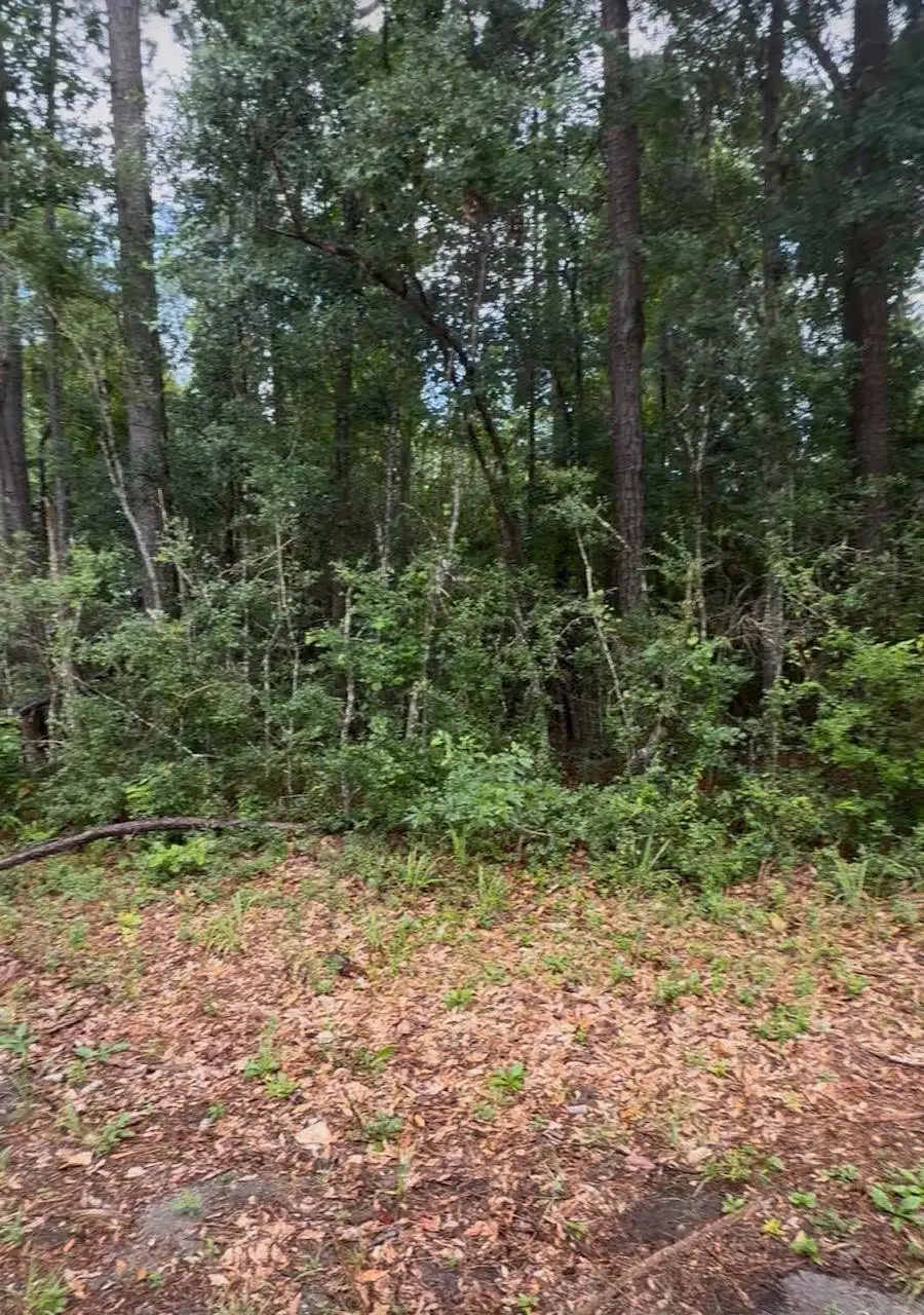 TBD Private Road 6328, Jasper, TX 75951 - #3