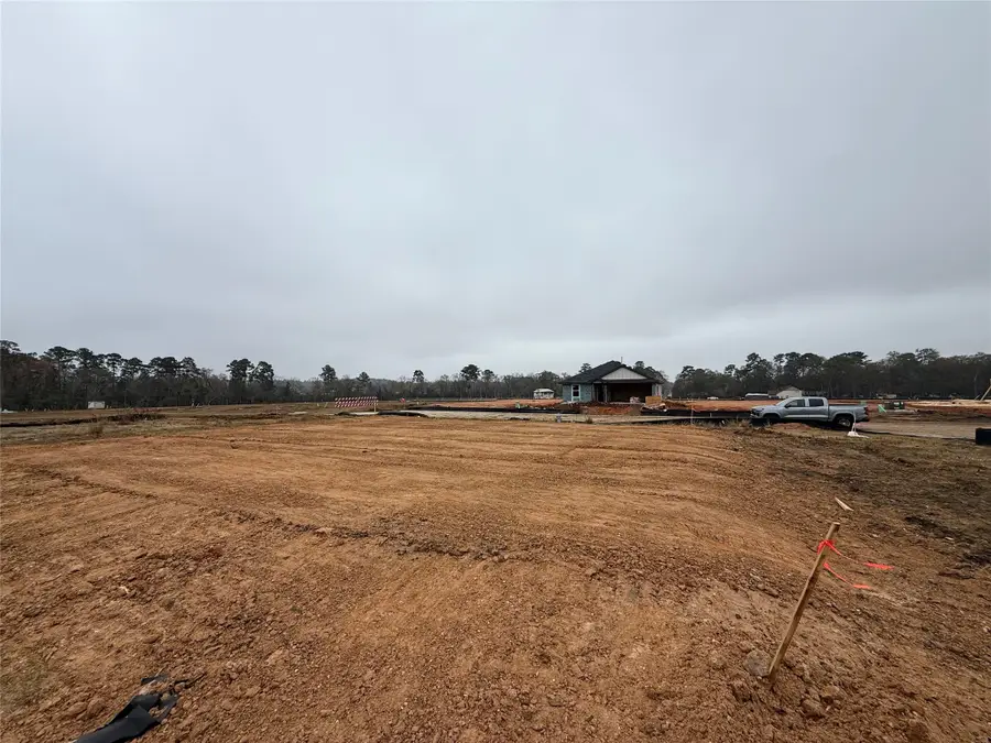 12002 Curlin Drive, Willis, TX 77318 - Image #3