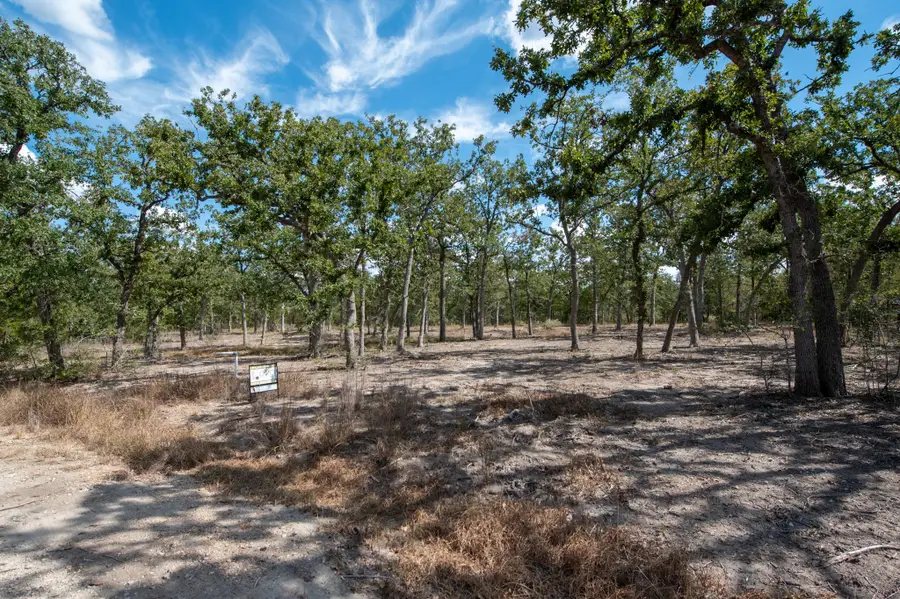 Lots 211 & 212 Forest Oak Drive, Somerville, TX 77879 - Image #3