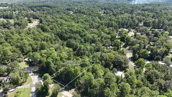 Lot 226 N Canyon Drive, Onalaska, TX 77360