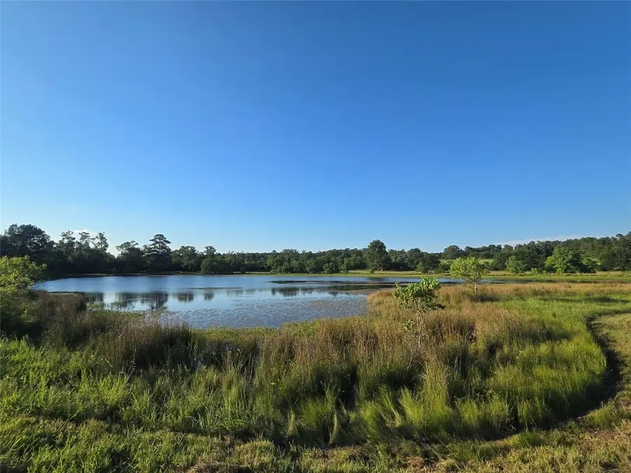 TBD Hwy 150 W, Coldspring, TX 77331 - #3