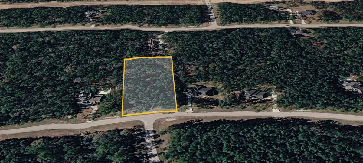 47 Brahman Ln, New Waverly, TX 77358 - #1