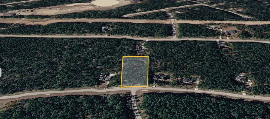 47 Brahman Ln, New Waverly, TX 77358 - #3