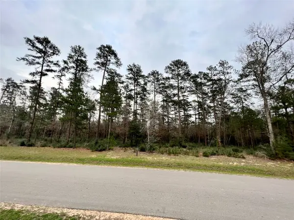 TBD 5 Lily Bean, Montgomery, TX 77316