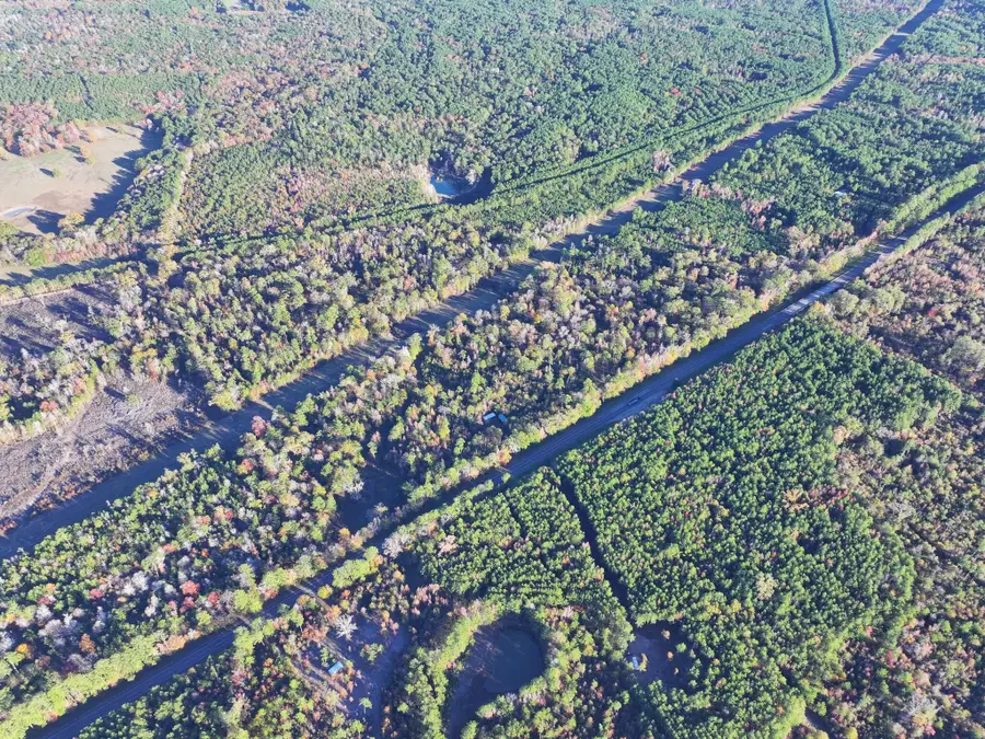 000 Highway 96 North, Pineland, TX 75968 - Image #3