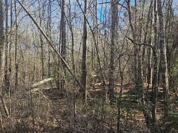 0 Red Road, Shepherd, TX 77371