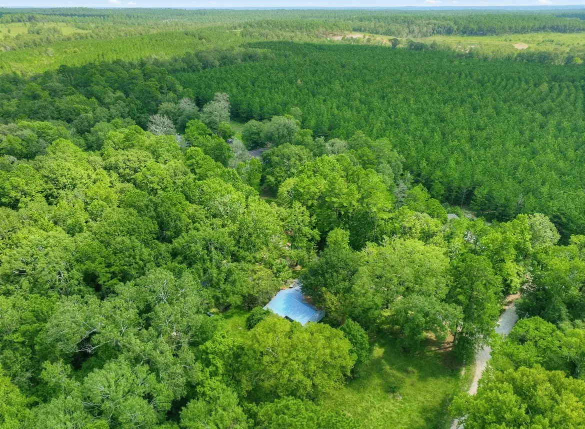1169 Hidden Valley Road, Livingston, TX 77351 - #1