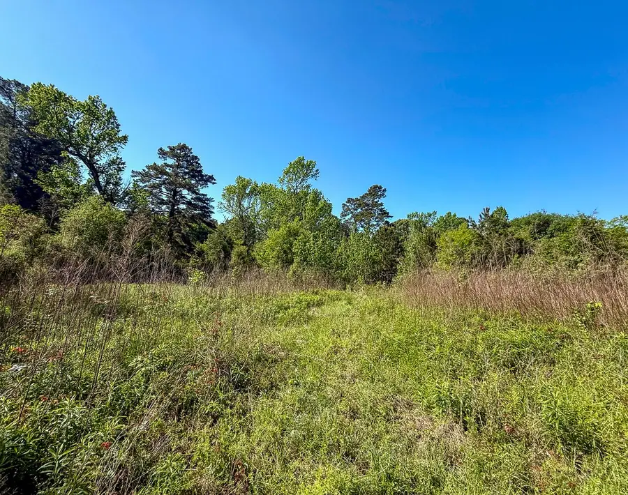 0 Old Houston Rd, Huntsville, TX 77340 - #2