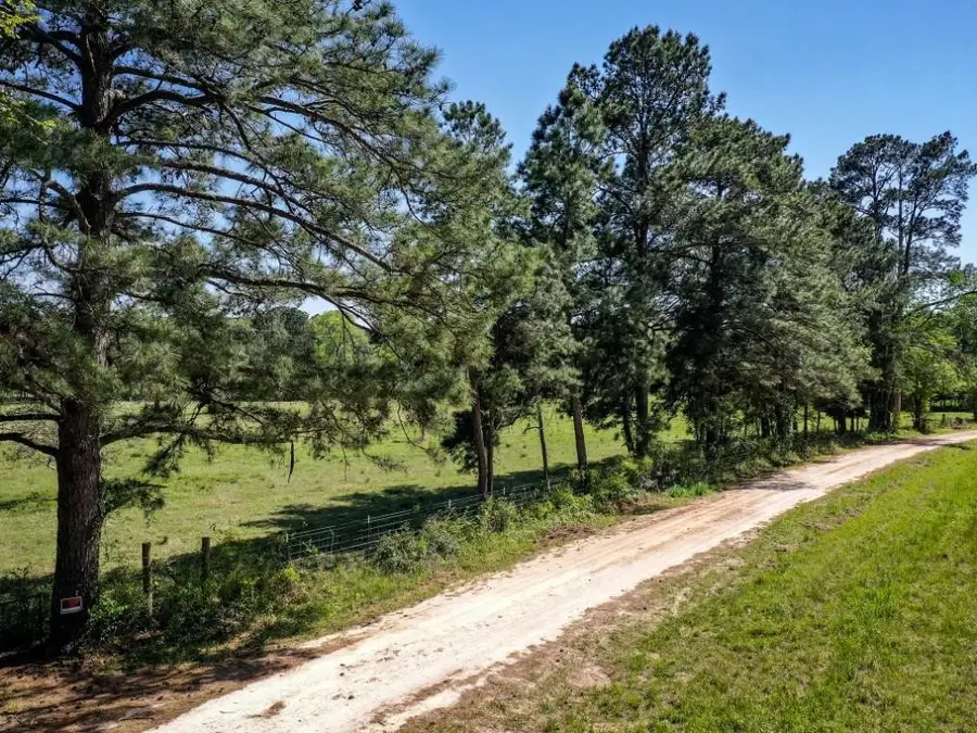 0 Black Jack Cemetery Road, Huntsville, TX 77340 - #3