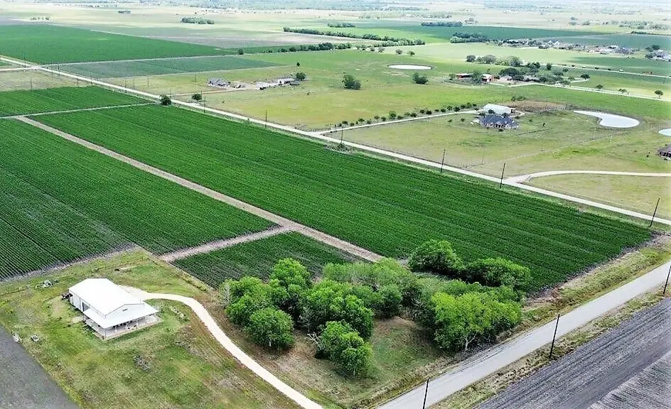 1519 Bushnell Road, Needville, TX 77461 - #1
