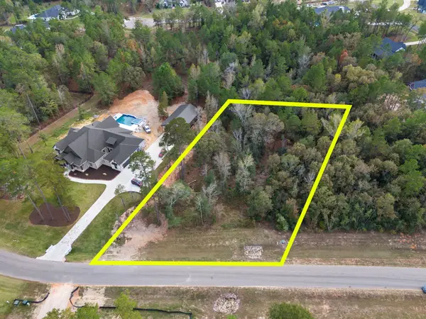 7509 High Meadow Ridge Drive, Montgomery, TX 77316