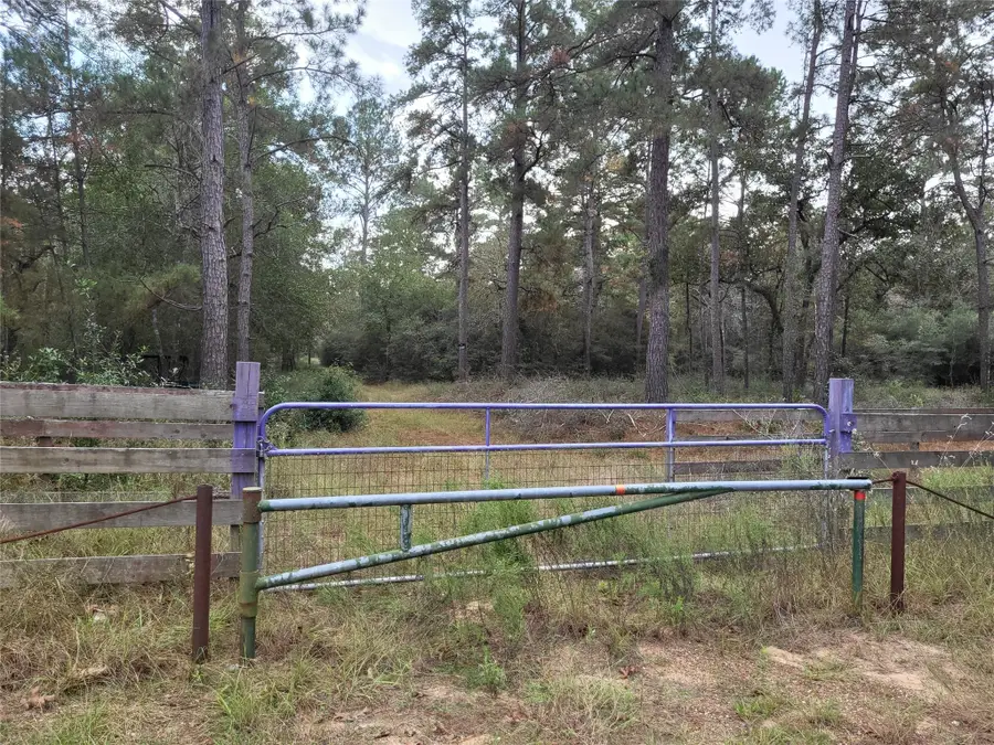 27055 Sandy Creek, Magnolia, TX 77355 - #3