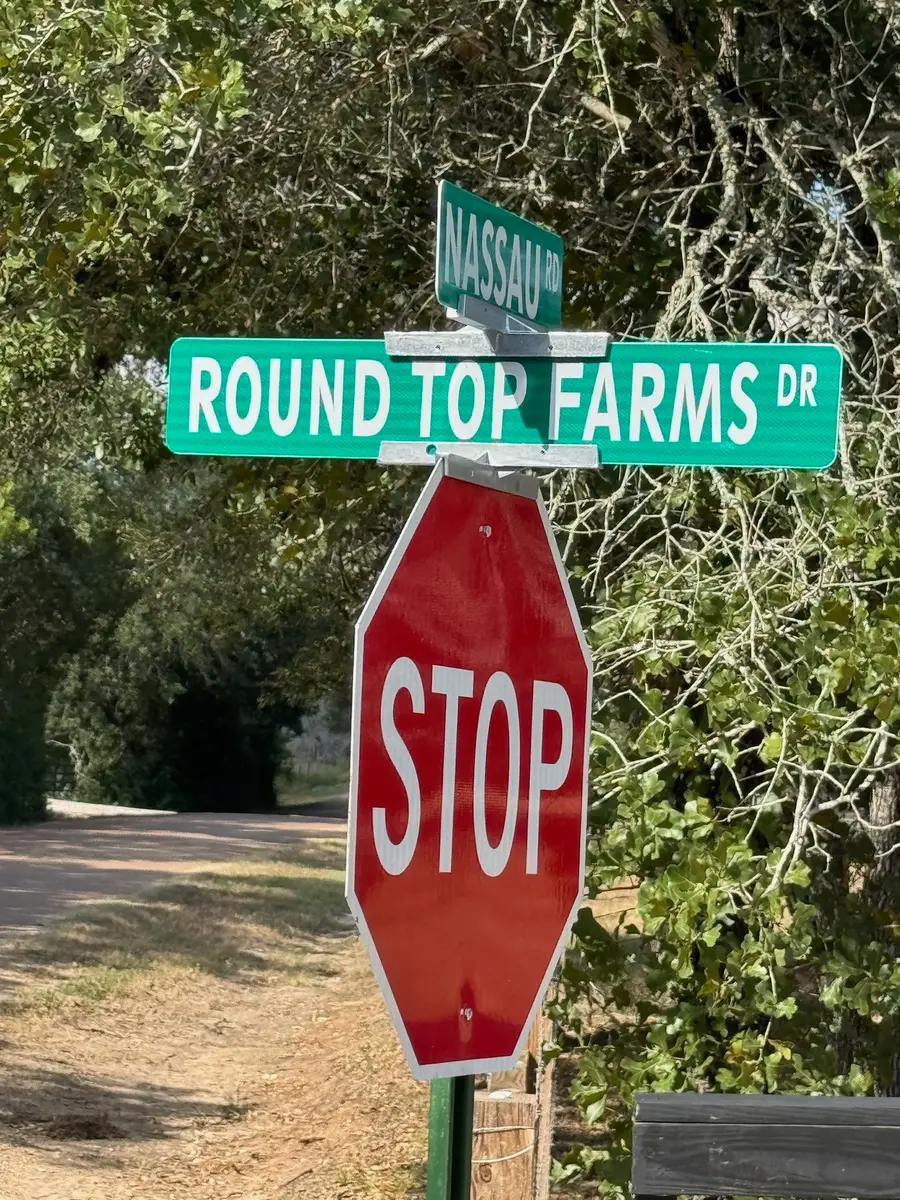 8 Round Top Farms Drive, Round Top, TX 78954 - #3