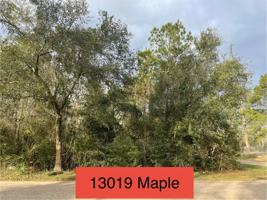 13019 Maple Street, Crosby, TX 77532 - Image #2