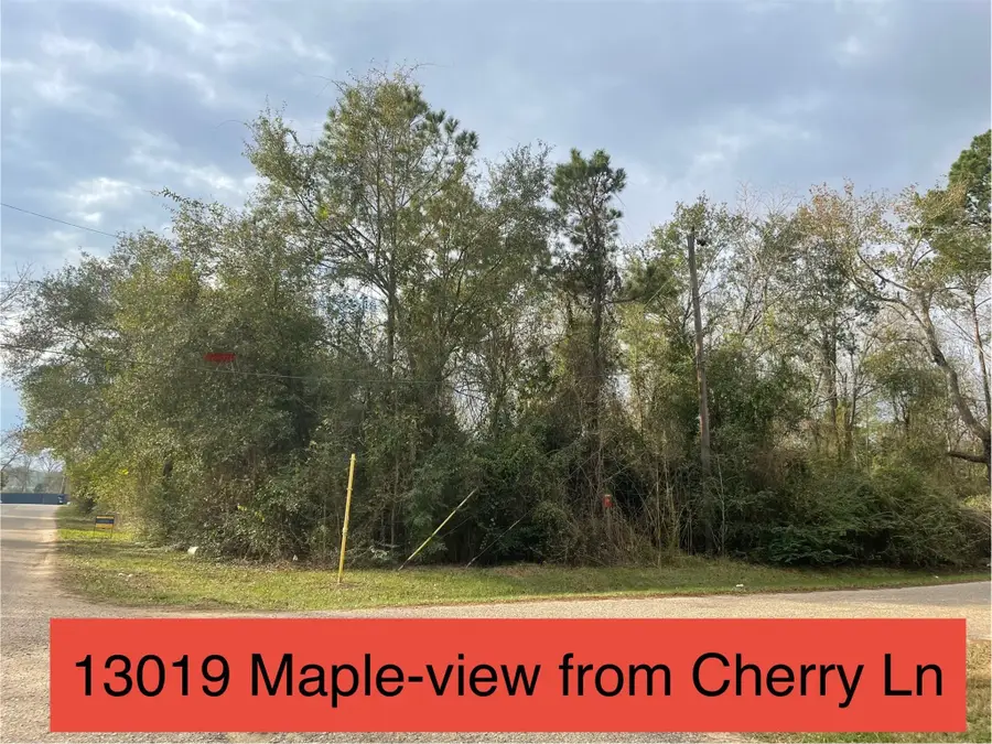 13019 Maple Street, Crosby, TX 77532 - Image #3