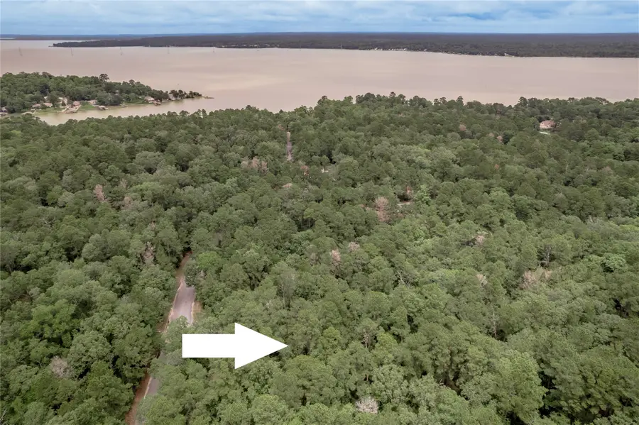Lot 9 Rohm Place, Huntsville, TX 77320 - #3