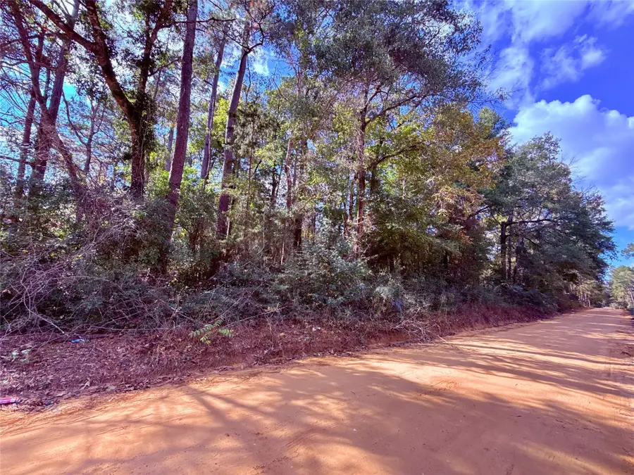 0 Warpath Drive, Livingston, TX 77351 - Image #2