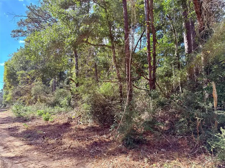 0 Warpath Drive, Livingston, TX 77351 - Image #3