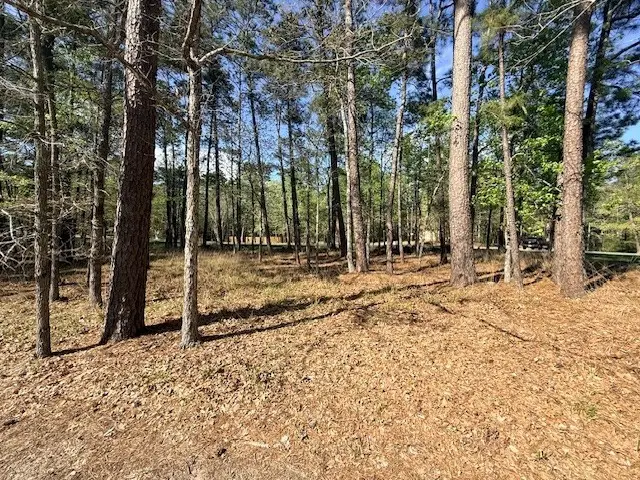 141 Wentworth Lane, Coldspring, TX 77331 - #3