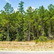 15645 Ridge Rock Road, Willis, TX 77378 - Image #2