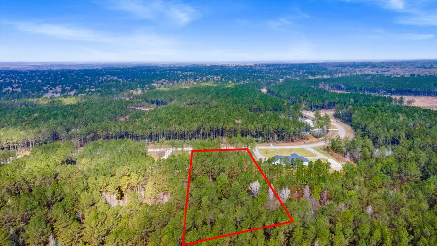 10883 Ruger Road, Willis, TX 77378 - #2