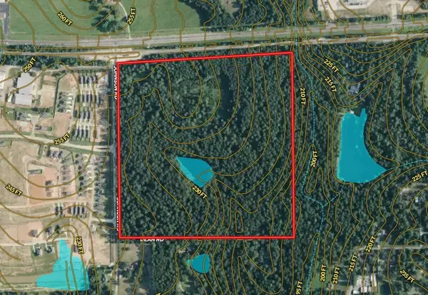 66 AC tbd Johnson Rd, Montgomery, TX 77316