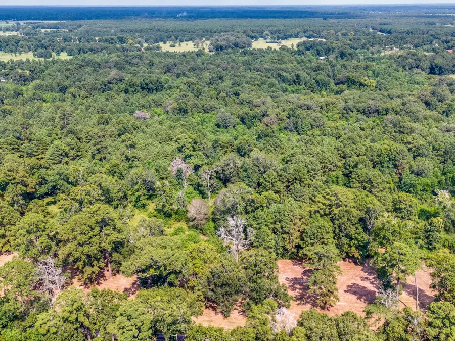 1094 Cr 2060, Hull, TX 77564 - #2
