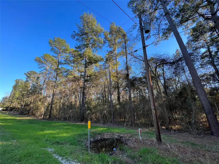 290 Greenbriar Drive, Magnolia, TX 77355 - #3