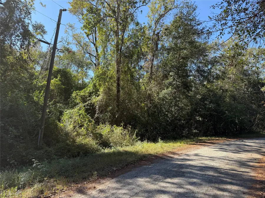 TBD Walnut Dr, Conroe, TX 77302 - Image #3