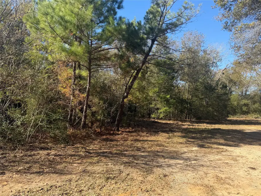 9301 Puddin Lane, Madisonville, TX 77864 - Image #3