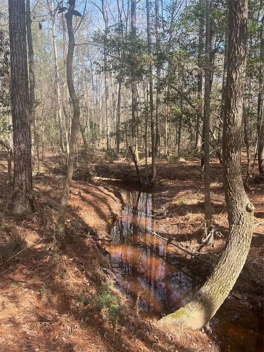 TBD Fm 943, Livingston, TX 77351 - #3