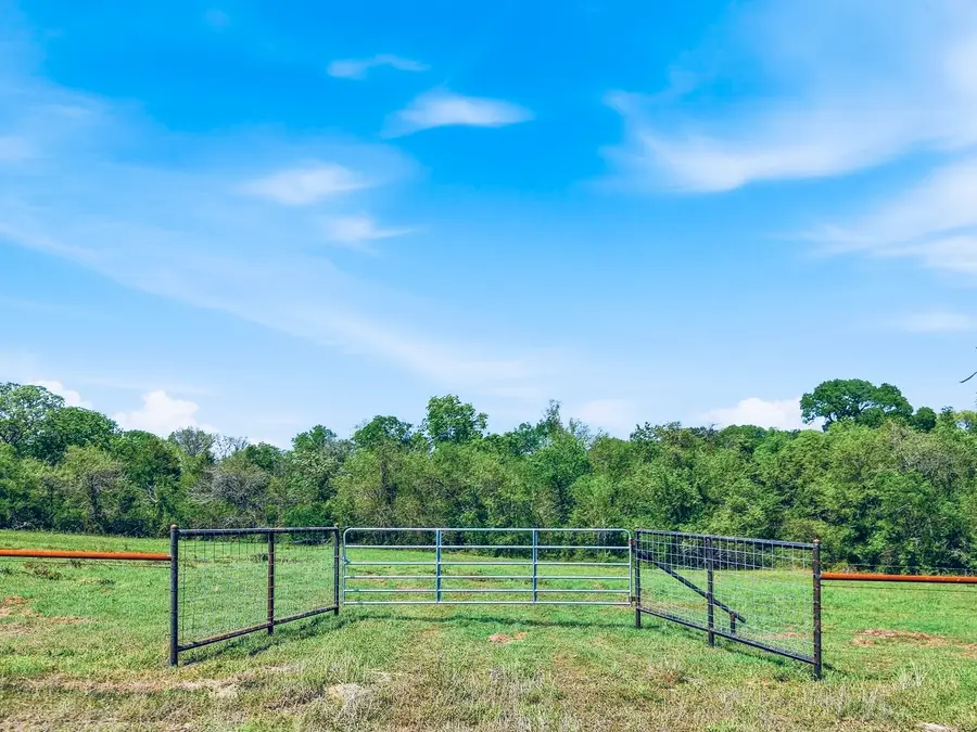 TBD County Road 405, Anderson, TX 77830 - #2