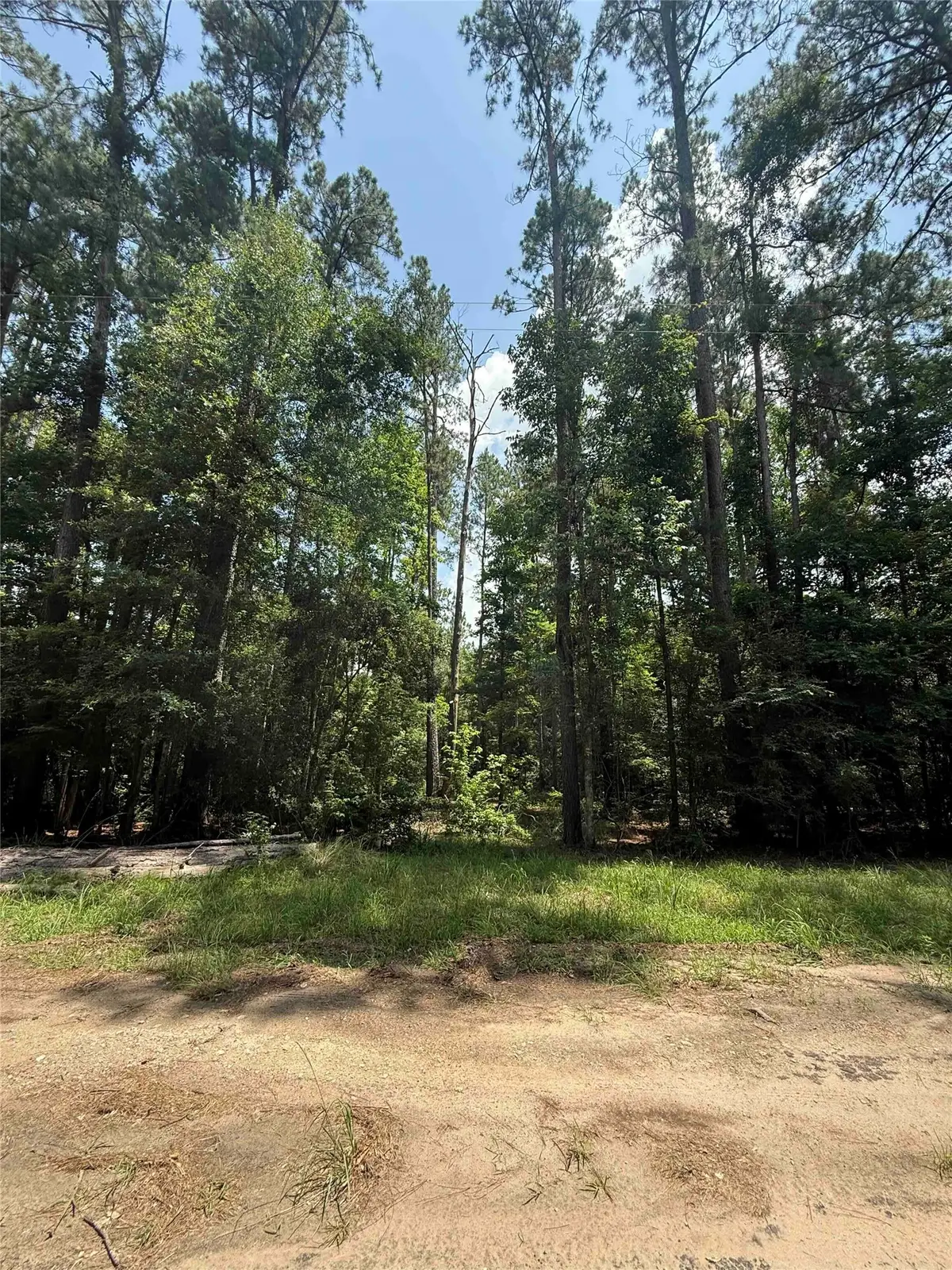 220 W Lake Shore Drive, Livingston, TX 77351 - #1