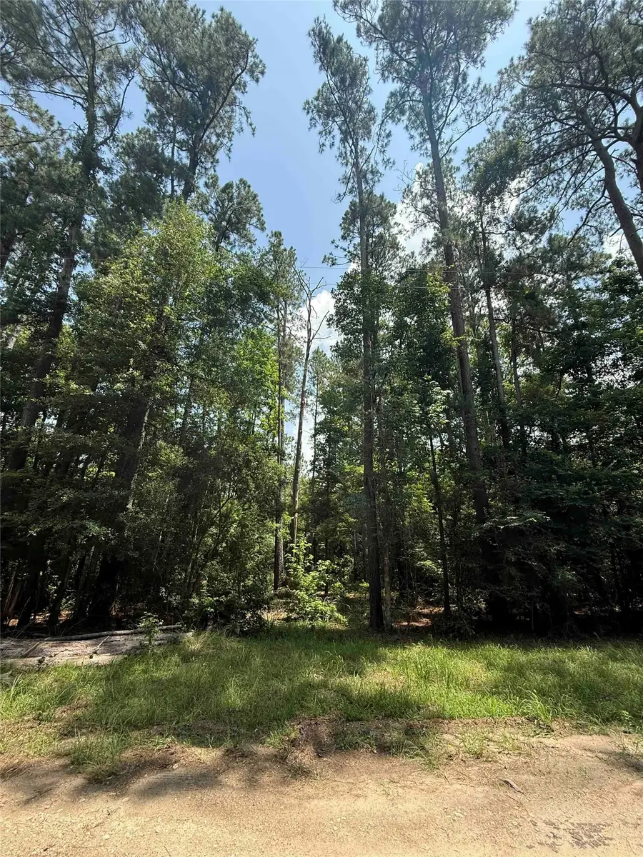 220 W Lake Shore Drive, Livingston, TX 77351 - #2