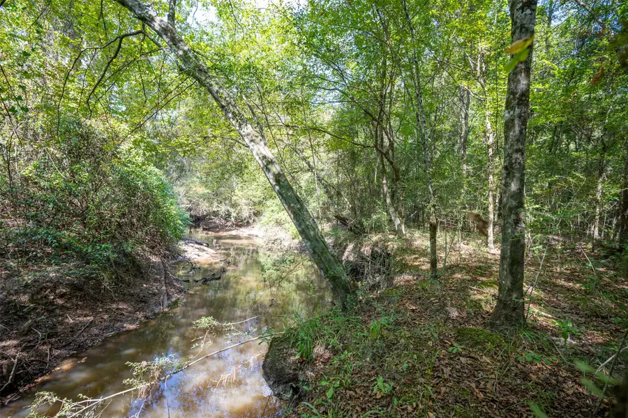 tbd County Road 4520, Warren, TX 77664 - #2