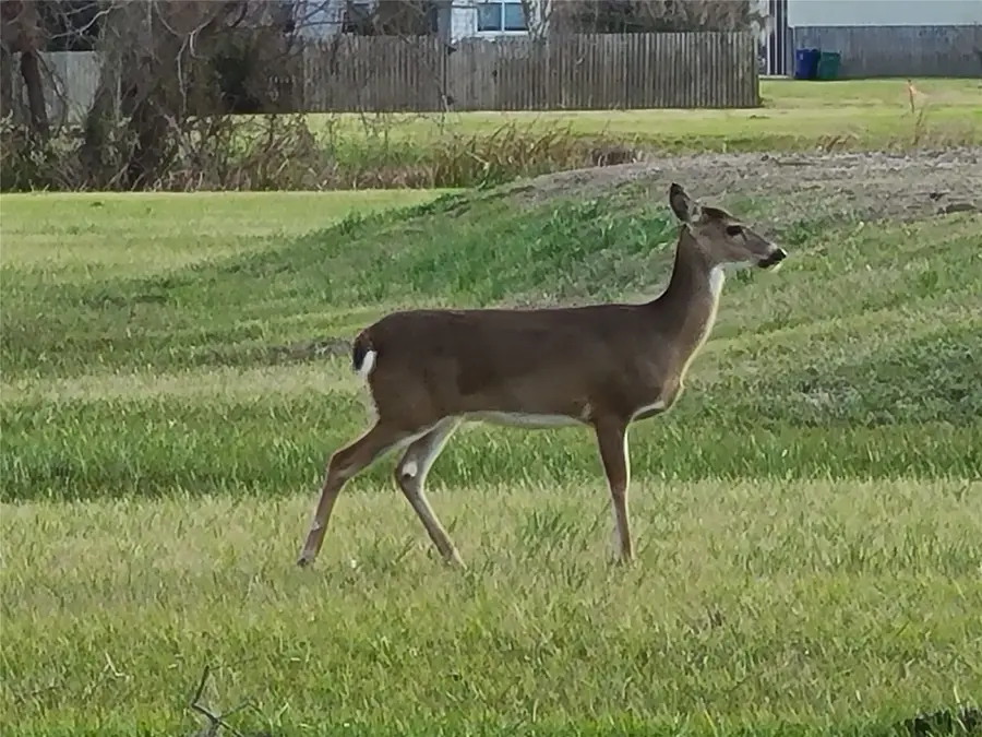 1050 Winchester Trail, Angleton, TX 77515 - Image #2