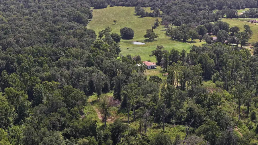 TBD Fm 832, Buffalo, TX 75831 - Image #2