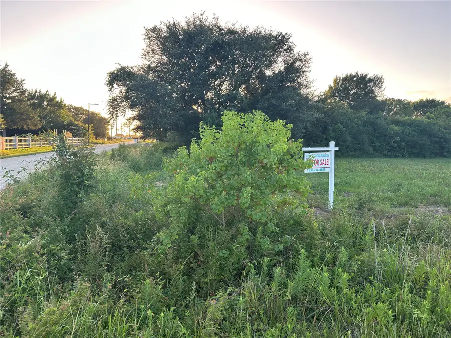 0 Alleda, Prairie View, TX 77445 - #3