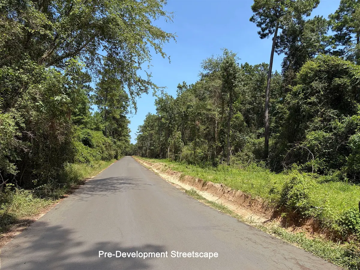 0 Hill Road Lot 1, Willis, TX 77378 - #1
