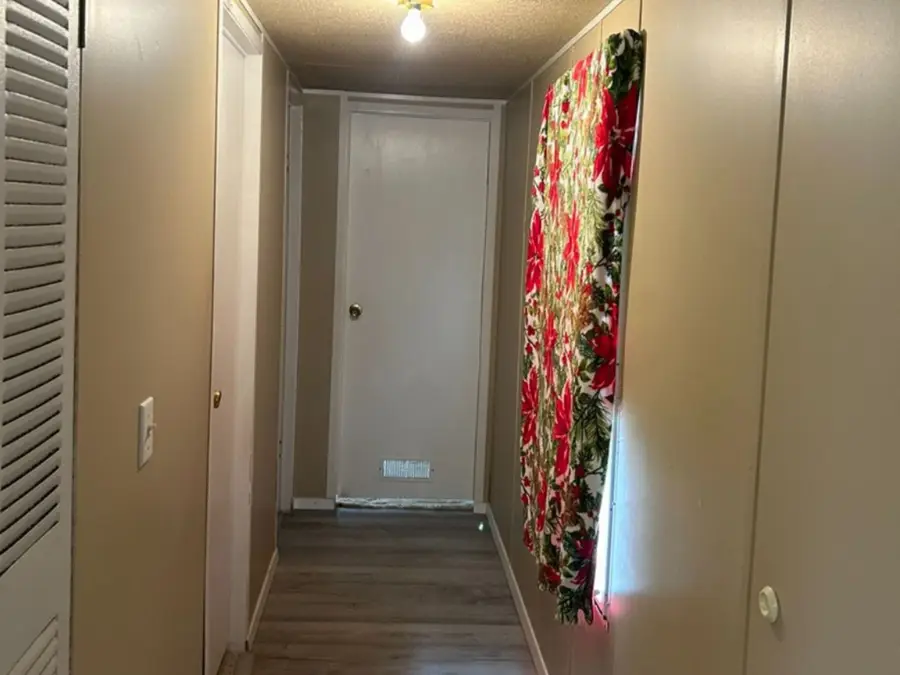 227 E Castleshoals Drive, Granite Shoals, TX 78654 - Image #3