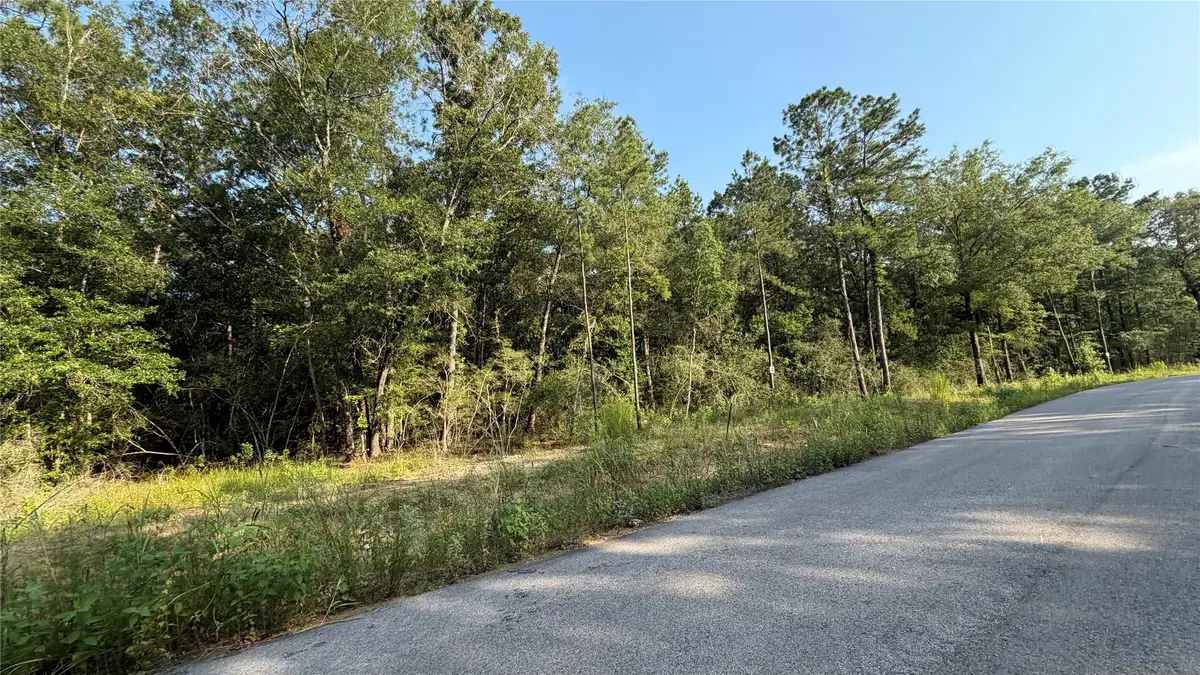 213 Kings Court, Dayton, TX 77535 - #1