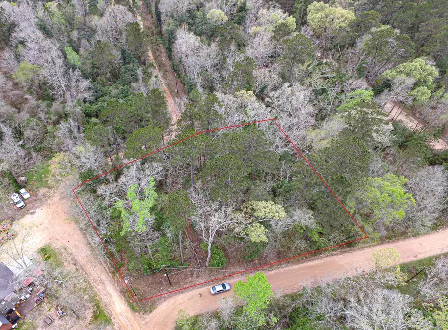 TBD Gene Autry Trail, Livingston, TX 77351 - #2