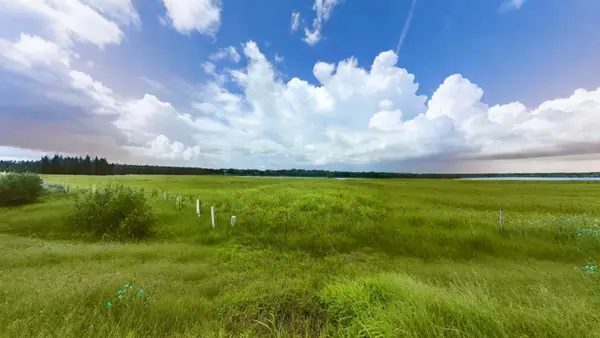 Conestoga Conestoga Trail, Angleton, TX 77515