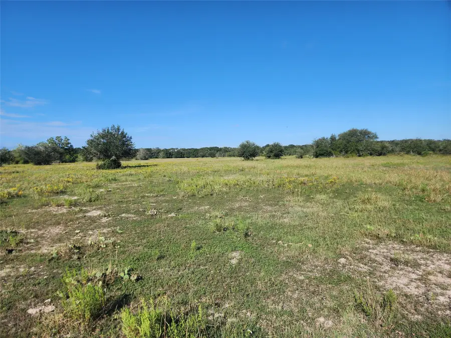000 Fm 445 S, Francitas, TX 77961 - Image #3