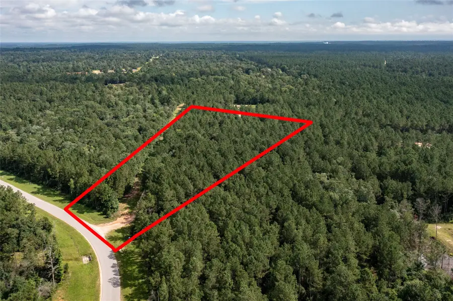 10775 Ruger Road, Willis, TX 77378 - Image #2